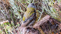 Tierra del Fuego